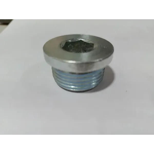 Bitzer FC, Magnetic Screw (M22x1,5), 366124-51